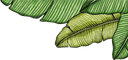 main flowers icon