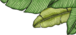 main flowers icon